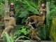 В Индии дикий леопард покалечил шестерых лесников