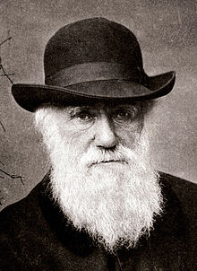 Charles Darwin 1880.jpg